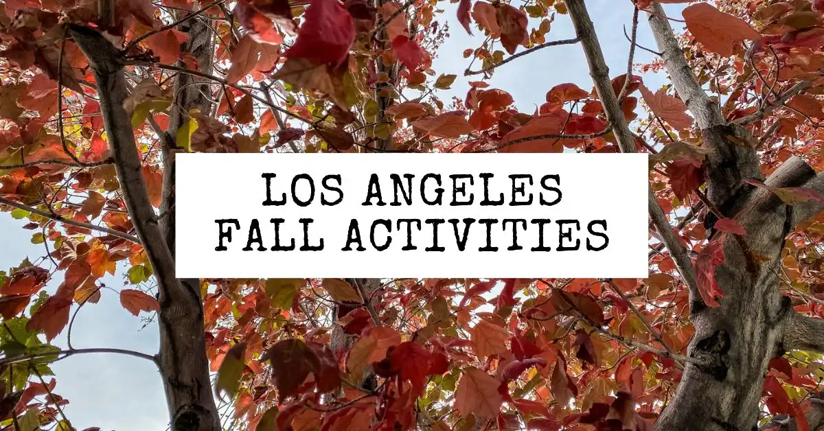 featured blog image | los angeles fall activities