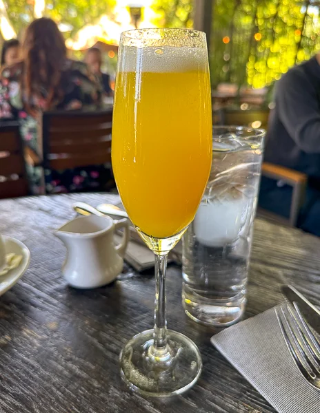 mimosa at the raymond in pasadena