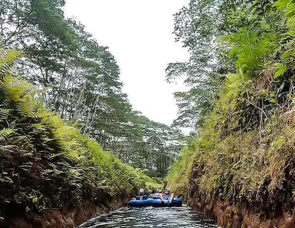 Mountain tubing adventure through lush greenery and narrow irrigation canals on an old sugar plantation in Kauai, Hawaii.