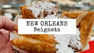 beignets in new orleans