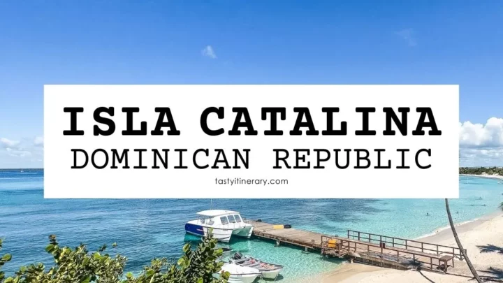 featured blog image | catalina island in the dominican republic