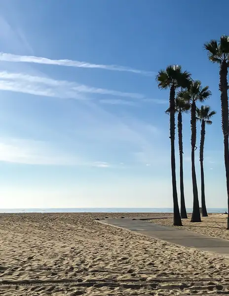 palm trees and sand at newport beach