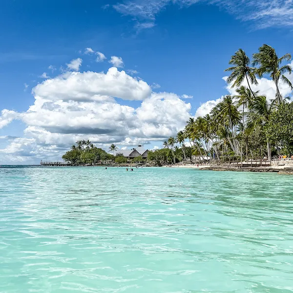 blue waters, beach coastline with palm trees