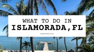 featured blog post image | things to do in islamorada