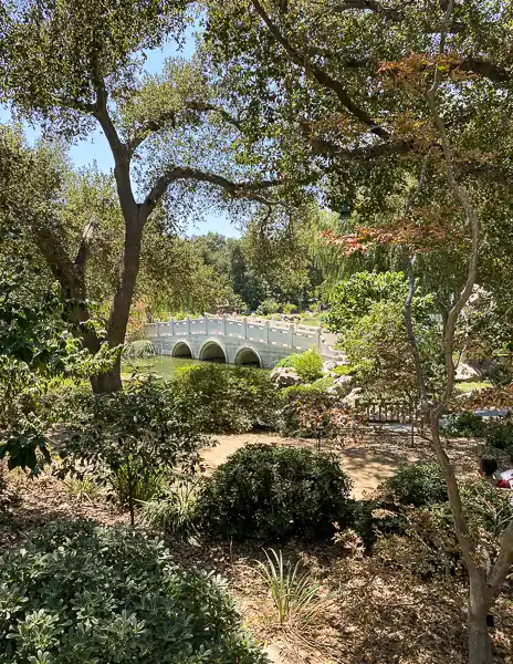 bridge over pond surrounded by lush trees