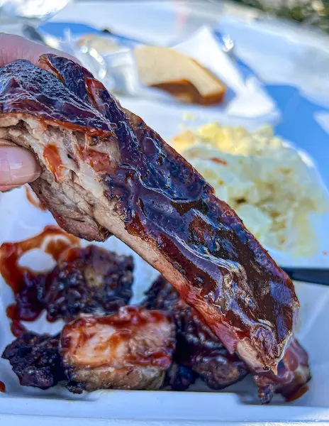 a bbq rib smothered in bbq sauce