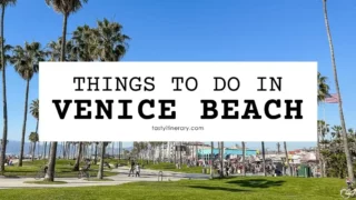 blog featured image | things to do in venice beach california