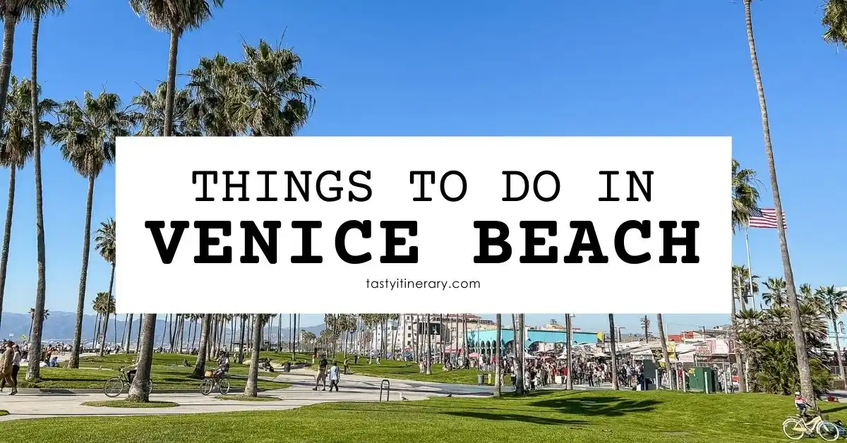 blog featured image | things to do in venice beach california
