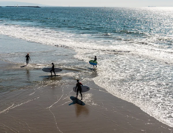 surfers at venice beach shores
