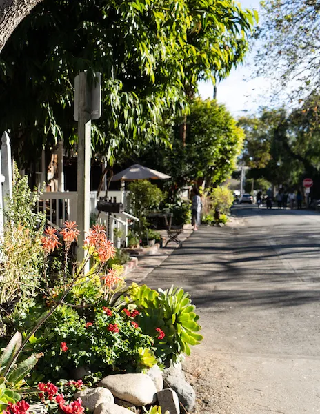 A quiet stretch of Los Rios Street lined with trees, flowers, and charming homes, with people walking in the distance under afternoon light.