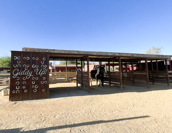 horse stables at zoomars