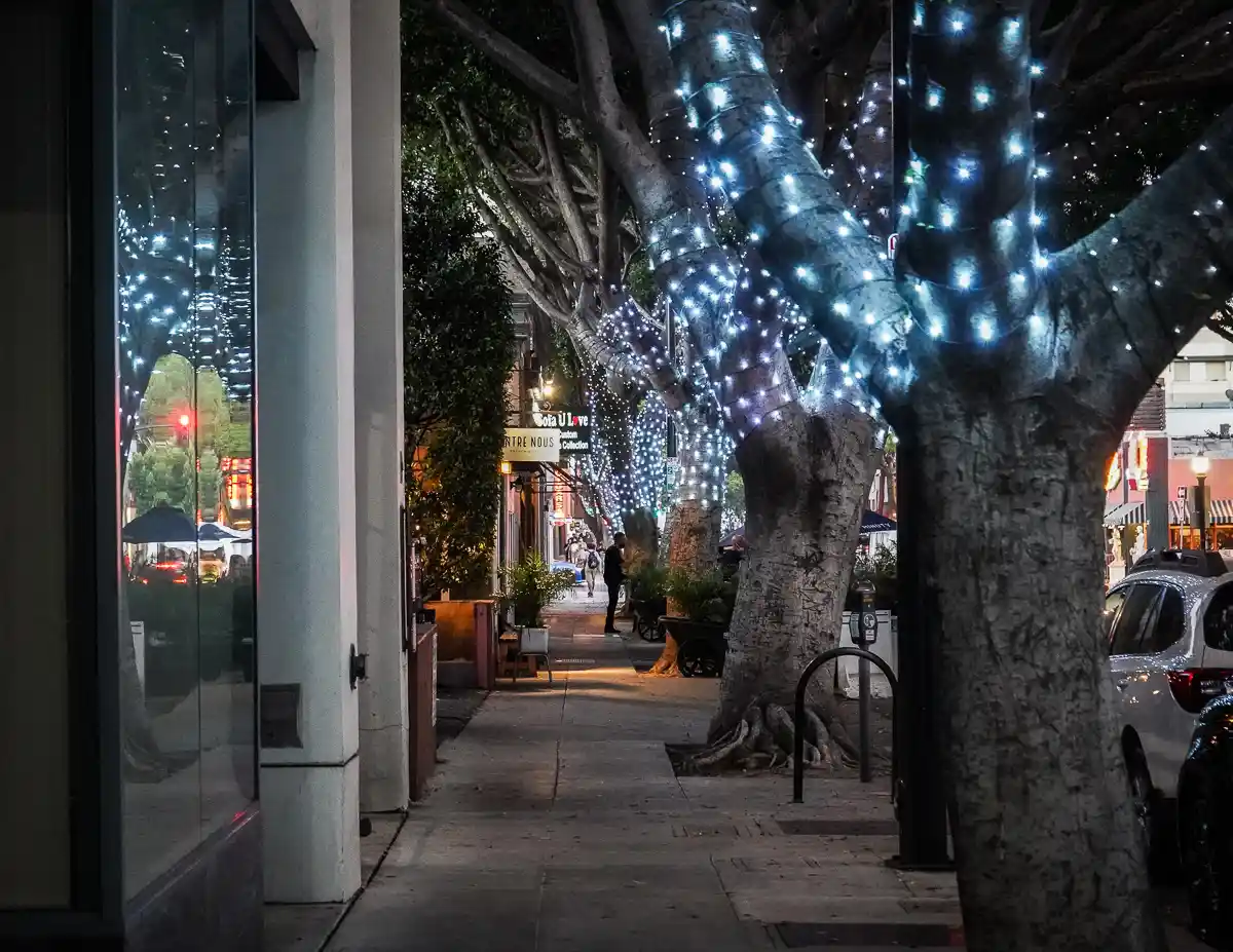 blue lights on trees lined next to sidewalk