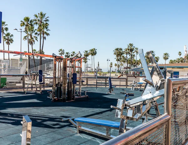 outdoor gym equipment near ocean and palm trees