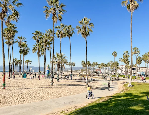 bike path along the beah and palm trees covered in graffiti