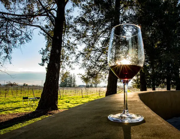 glass of wine overlooking winery