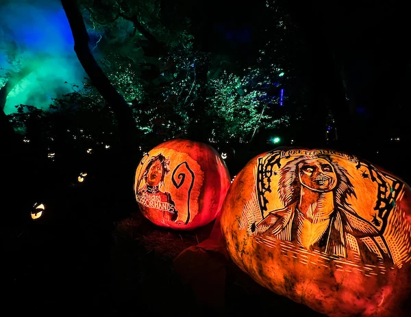 carved pumpkins at descano gardens