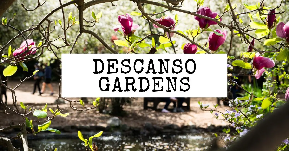 featured blog image | descanso gardens things to do