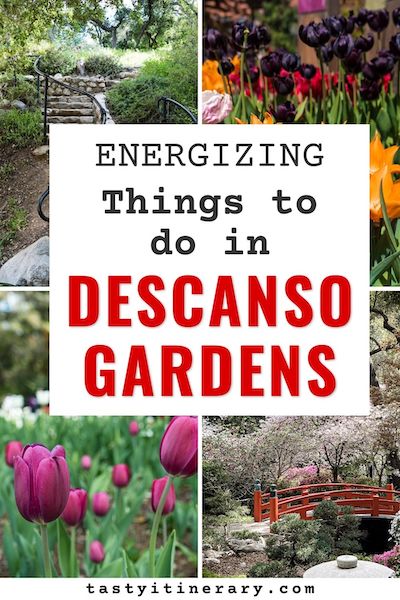pinterest marketing pin | descanso gardens things to do