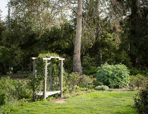 trellis covered seating bench in the rose garden of descano gardens