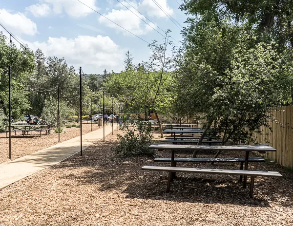 shaded picnic tables under string lights at descano gardens