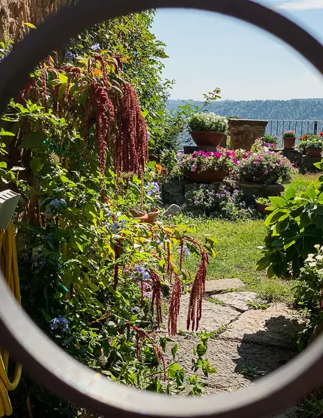 peek inside a lush garden