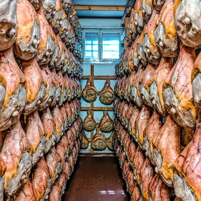proscuitto di parma hung up and curing