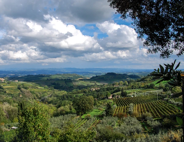 View of rolling hills and vineyards in Tuscany.
