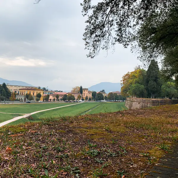 view of lucca from old city wall