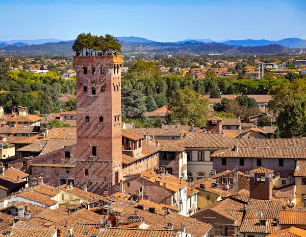terracotta colored roofs and tower with trees on top