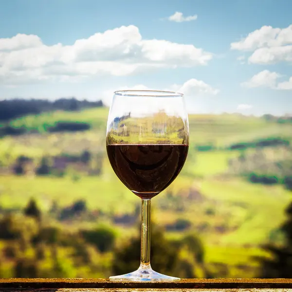 glas of wine with winery in the background