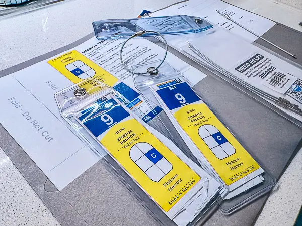 Cruise luggage tags and travel documents ready before embarkation