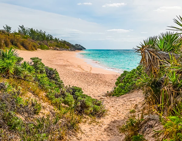 Warwick Long Bay