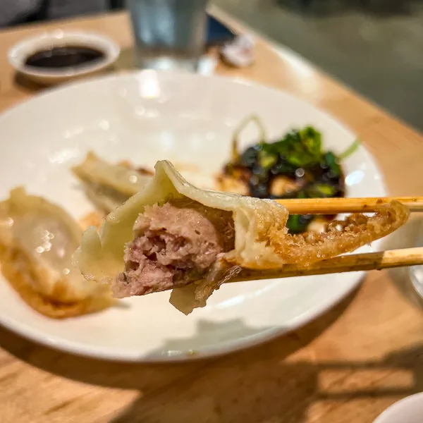 crispy pork dumplings at dan modern chinese