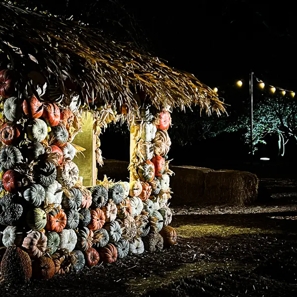 pumpkin house at carved descanso gardens