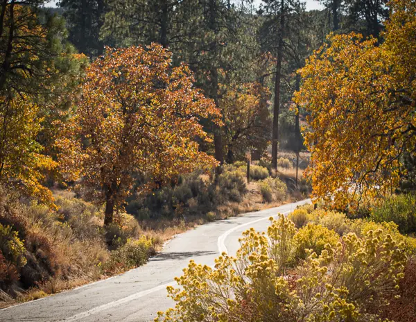 fall colors along the road to lake arrowhead