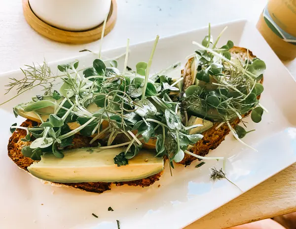 avocado toast at hanalei bread company