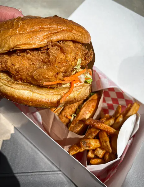 fried chicken sandwich and fries