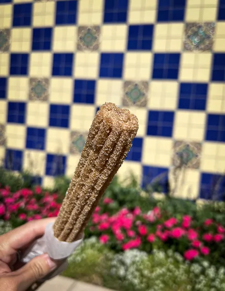 classic cinnamon churro from universal studios hollywood