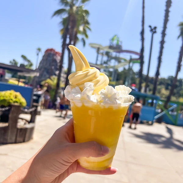 dole float at raging waters