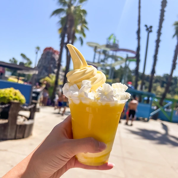 Hand holding a Dole Whip float with whipped cream against a backdrop of Raging Waters' vibrant water slides and palm trees