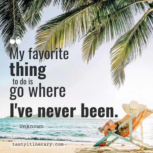 my favorite thing to do is go where I've never been | travel quote