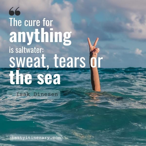 55 Influential Travel and Cruise Quotes to Inspire Your Next Vacation