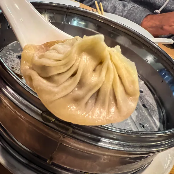 xiao long bao soup dumpling