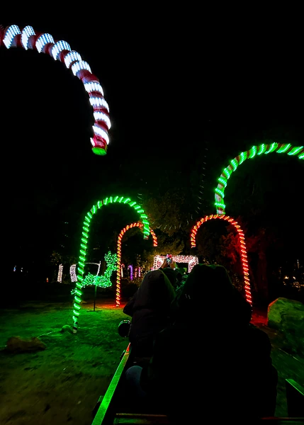 train going under lit up candy canes at griffith park holiday lights festival