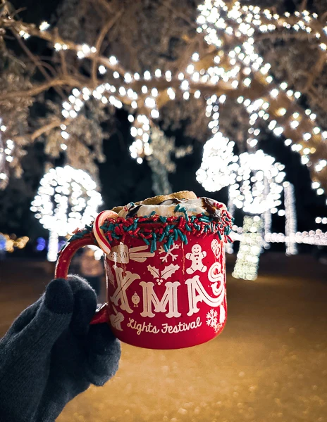 Close-up of a gloved hand holding a festive red 'XMAS Lights Festival' mug filled with lavender hot chocolate, topped with whipped cream and marshmallows, with twinkling holiday lights in the background at 123 Farm.