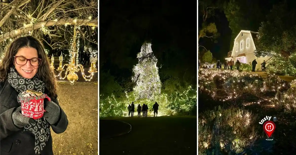 Photo collage from 123 Farm Christmas Nights showing a woman holding a souvenir hot chocolate mug, a brightly lit Christmas tree, and a farmhouse surrounded by holiday lights.
