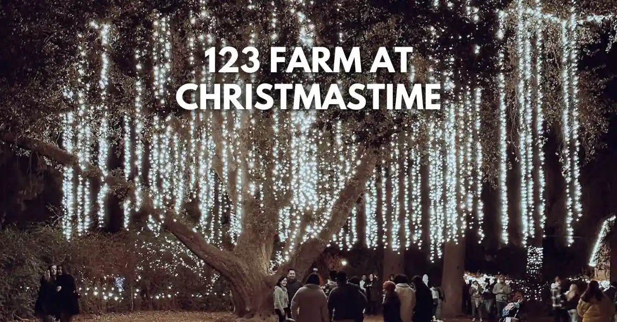 featured blog image: Large oak tree covered in cascading white holiday lights at 123 Farm’s Christmas event. People bundled in winter coats walk and gather underneath the illuminated branches, creating a festive nighttime scene. Text on the image reads “123 Farm at Christmastime.”