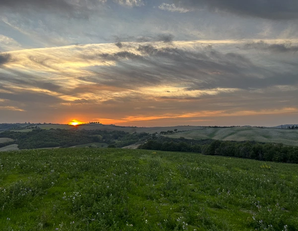 Hills of Val D'Orcia at Sunset