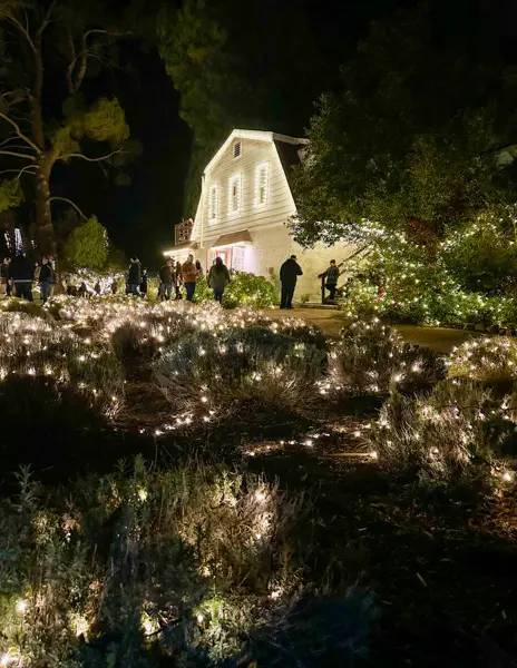 Christmas lights decorating the landscape and a barn-like building at 123 Farm, with visitors walking along pathways lined with twinkling lights.