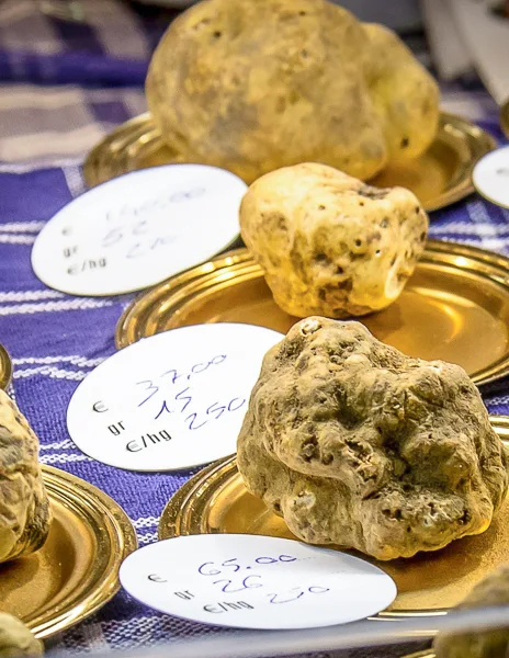 white truffles